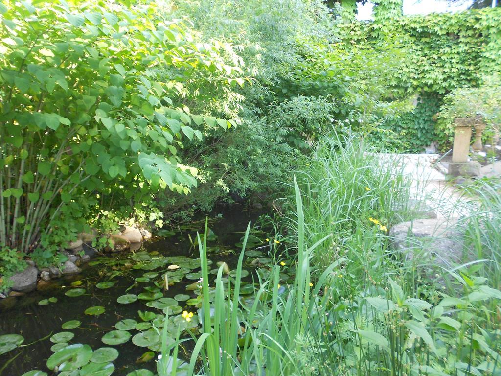 Apart'Hotel Les 4 Sources Corbes Exterior photo